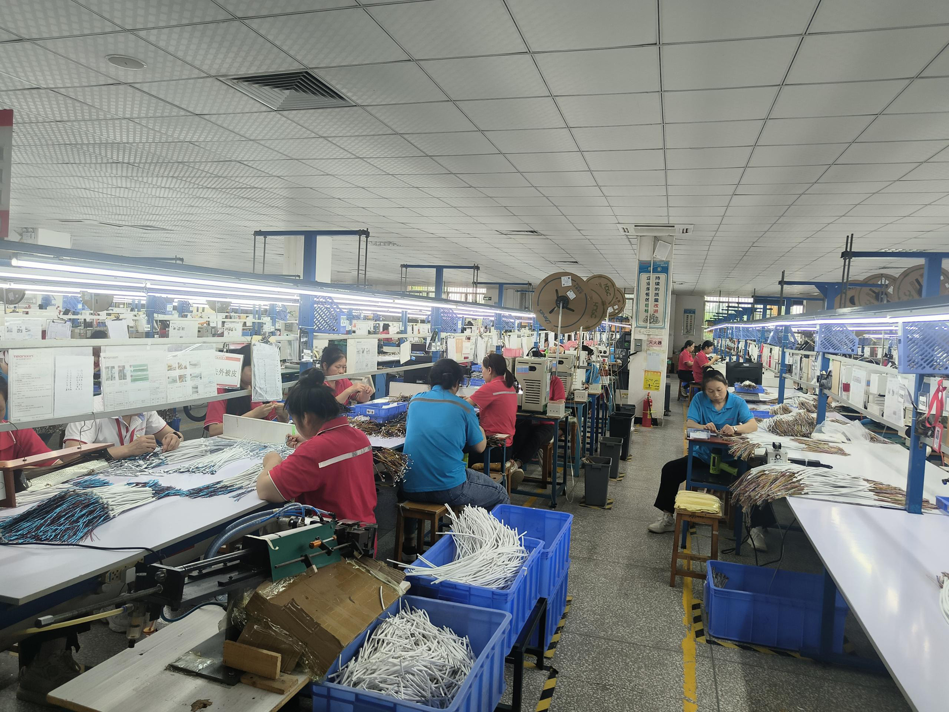 We are professional manufactures